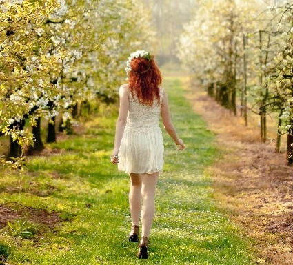 アロマオイル・ローズウッド